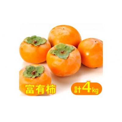 ふるさと納税 米子市 鳥取県産柿「富有柿(ふゆうかき)」4kg