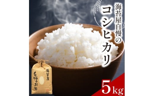 お米 コシヒカリ 5kg 令和7年産 米 こめ 海苔屋の米 ご飯 ごはん おにぎり 白米 食品 備蓄 備蓄米 保存 防災 ギフト 贈答 プレゼント お取り寄せ グルメ 送料無料 徳島県 阿波市 三興海苔株式会社