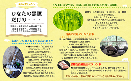 【牧場直販】ひなたの黒豚 本ロース詰め合わせ 880g（豚肉 黒豚 豚 しゃぶしゃぶ用 しゃぶしゃぶ とんかつ用 ロース 小分け）