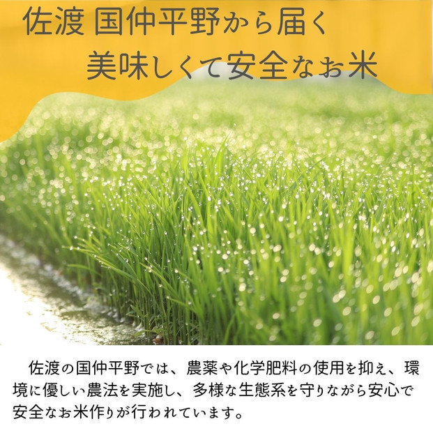 【先行予約】【新潟県佐渡】国仲平野産コシヒカリ＜数量限定・生産地域限定＞ 令和７年産 精米【無洗米】5kg 送料無料