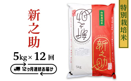 
B7-35【12ヶ月連続お届け】長岡産新之助5kg（特別栽培米）
