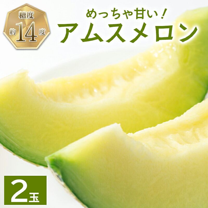 【ふるさと納税】アムスメロン 2玉 メロン 季節限定 期間限定 果物 フルーツ くだもの お土産 プレゼント 贈り物 ご褒美 贅沢