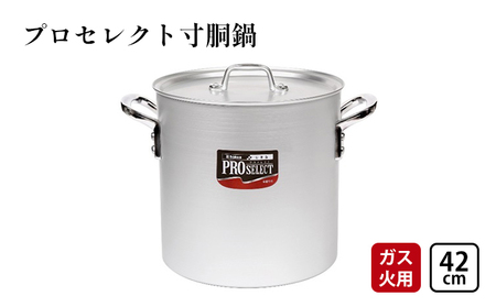 鍋 ガス火用 プロセレクト 寸胴鍋 42cm 両手鍋 蓋 蓋付き 寸胴 アルミ鍋 アルマイト加工 北陸アルミ 北陸アルミニウム 日本製 調理器具 キッチン用品 日用品 富山県