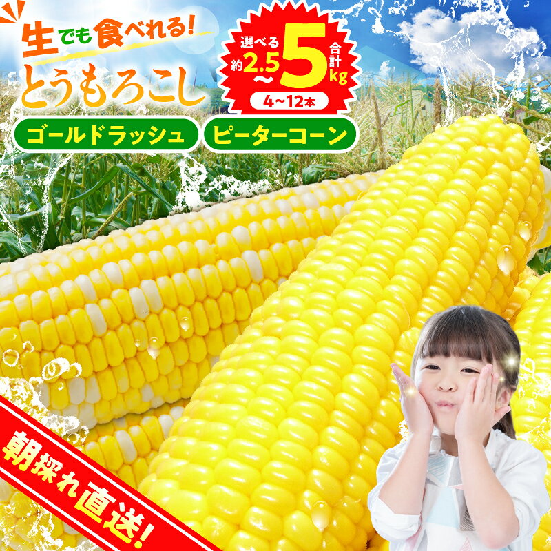 【ふるさと納税】 ★ 2027年先行予約★ とうもろこし ゴールドラッシュ ピーターコーン 食べ比べ 詰め合わせ 約2.5kg(4～6本入） 約5kg(10～12本) 朝採れ 人気 野菜 お取り寄せ 産地直送 新鮮 ギフト プレゼント 贈答 送料無料 山梨県 忍野村 ※沖縄県、離島不可