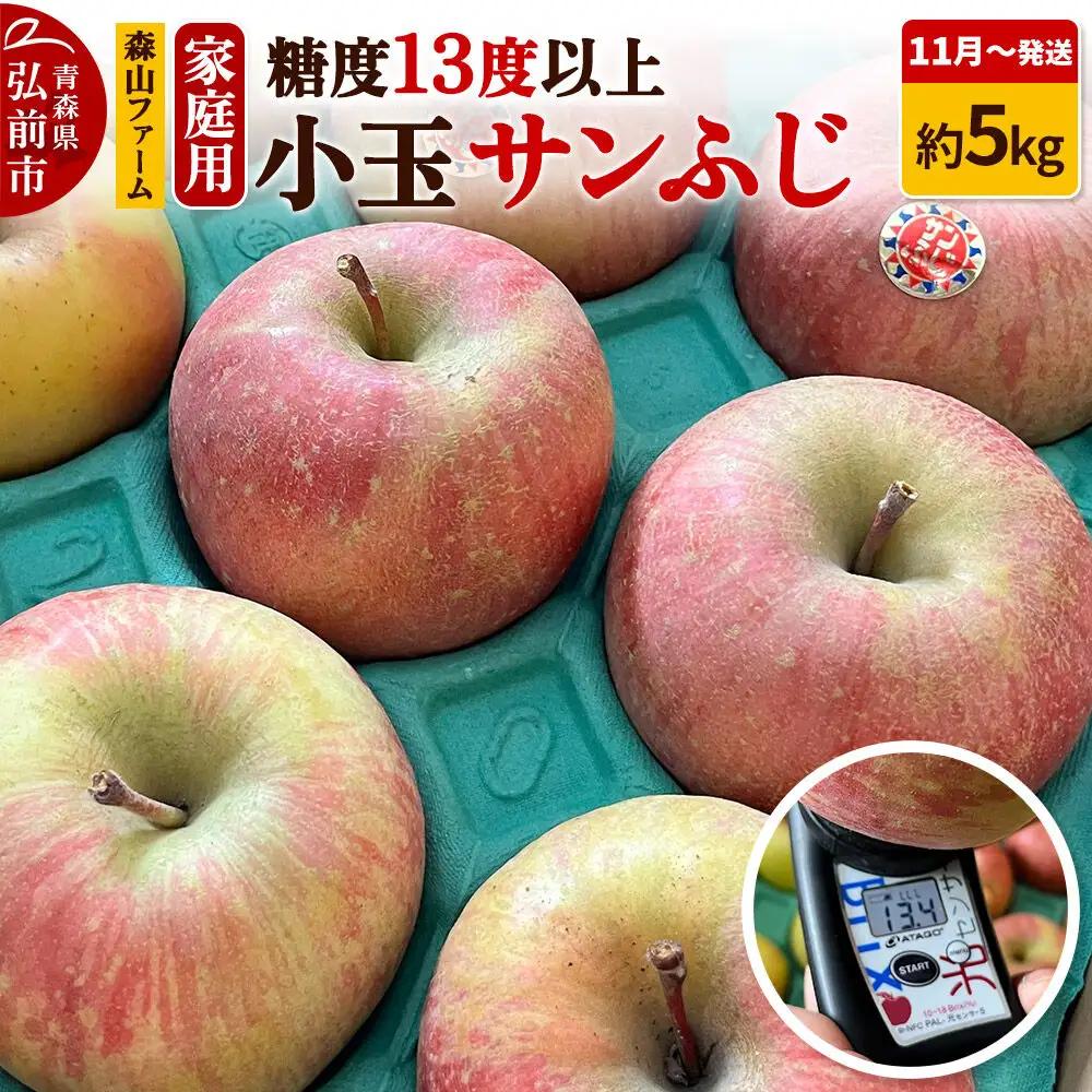 りんご サンふじ 家庭用 約5kg 小玉 11月発送 りんご