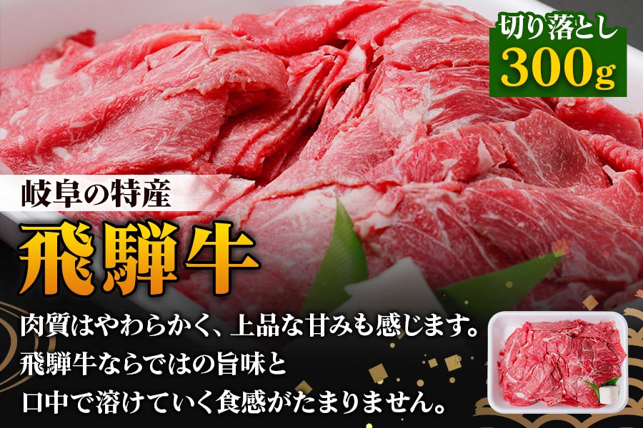 飛騨牛と美濃ヘルシーポーク 切り落としセット(計1.5kg) [1176]
