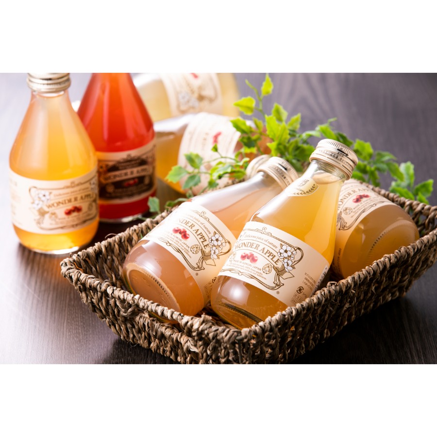 ＜WONDER APPLE＞カルネ りんごジュース180ml×12本（6種×2本）