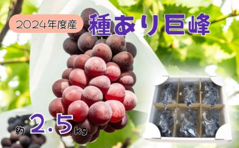 【先行予約】2025年産 訳あり 種あり巨峰バラ房・バラ粒パック約2.5kg