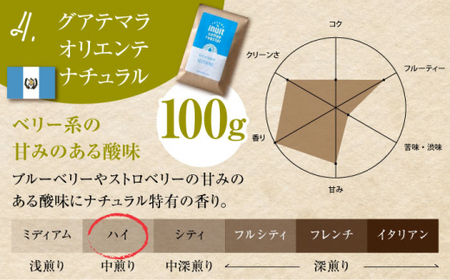 【全6回定期便】 【豆タイプ】 フルーティな中煎り ＜スペシャルティコーヒー＞ 400ｇセット 【イヌイットコーヒーロースター】[ASAB023]