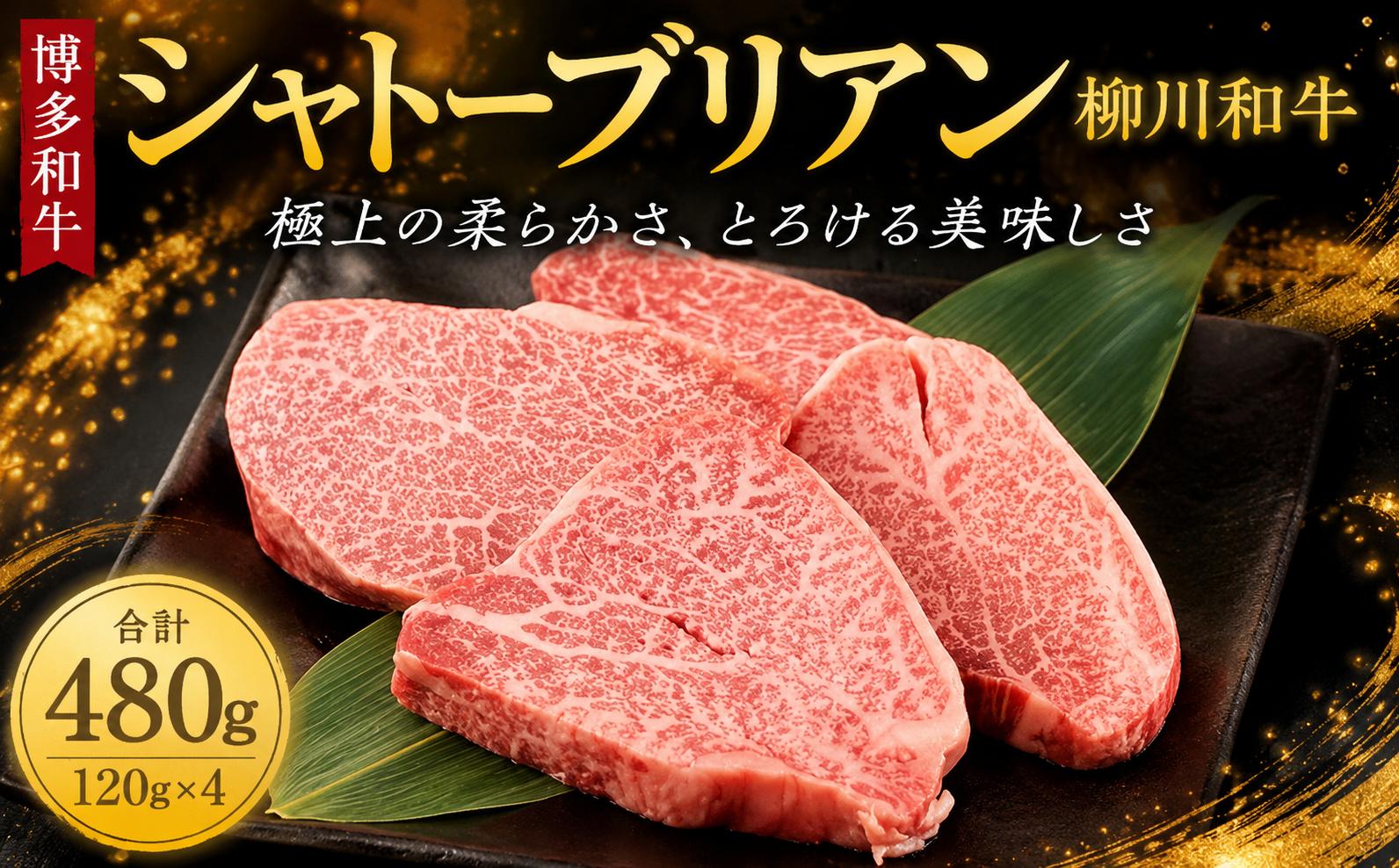 
                  柳川産 博多和牛 シャトーブリアン 約120g×4 計約480g 肉 牛肉 和牛 国産 国産牛肉 ヒレステーキ ぎゅうにく ステーキ ヒレ ヒレステーキ シャトーブリアン しゃとーぶりあん ひれ すてーき 高級牛肉 希少部位 冷凍牛肉
                