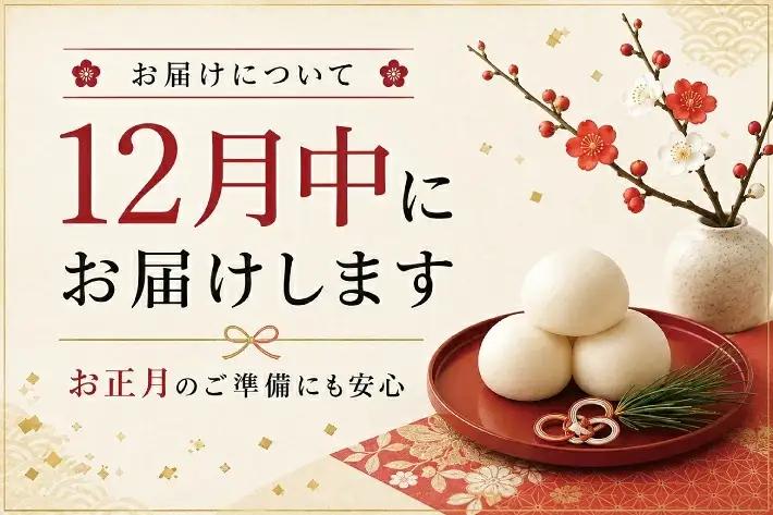 ゆざの杵つき丸餅 計2.5kg 500g×5袋 12月中に順次お届け 生丸餅 庄内産でわのもち100%使用 東北 山形県 遊佐町 庄内地方 庄内平野 もち お餅 おもち 丸い 焼き餅 おしるこ お汁粉