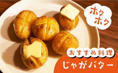 じゃがいも 10kg＜ファームまるだ＞CDT002 じゃがいも じゃがいも じゃがいも じゃがいも じゃがいも じゃがいも