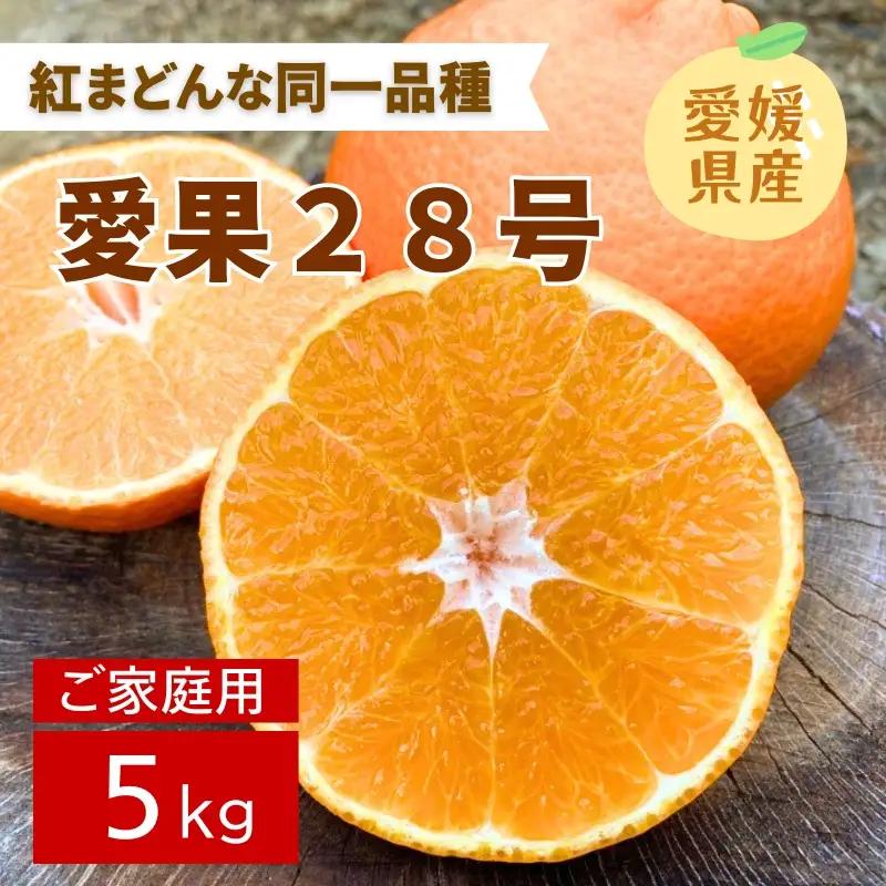 【2026年11月下旬より順次発送】愛果28号 5kg ご家庭用 2L～4L 大玉｜B83