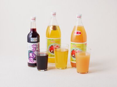 大江の恵　山ぶどう原液500ml紅玉・ふじ1Lジュースセット 003-027