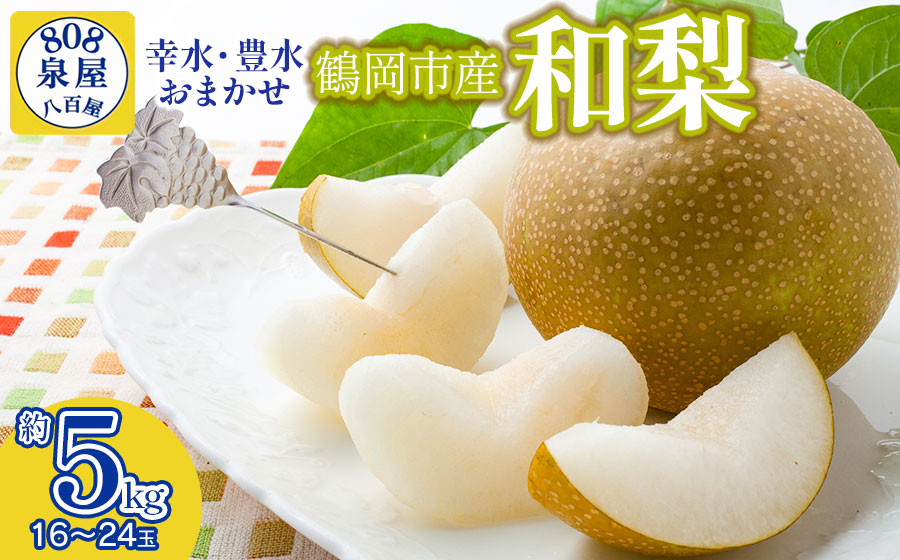 【令和8年産先行予約】鶴岡市産 和梨（品種おまかせ）幸水・豊水のどちらか1種 約5kg　K-836