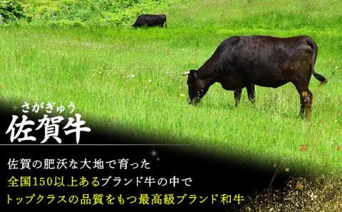 佐賀牛｢トウガラシ(トンビ)ブロック｣ 1500g
