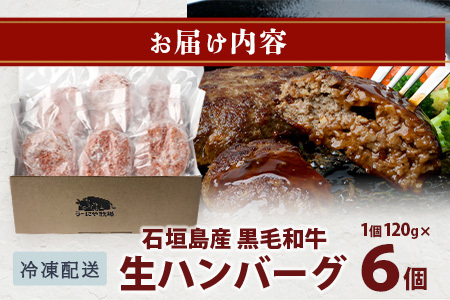 石垣島産 黒毛和牛 生ハンバーグ 120g x 6個 UN-1