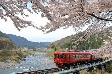 観光列車 「ながら」 ランチプラン 予約 乗車券 （シングル） T42-05 