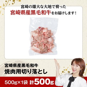 牛肉【数量限定】宮崎県産黒毛和牛焼肉用切り落とし500g 牛肉