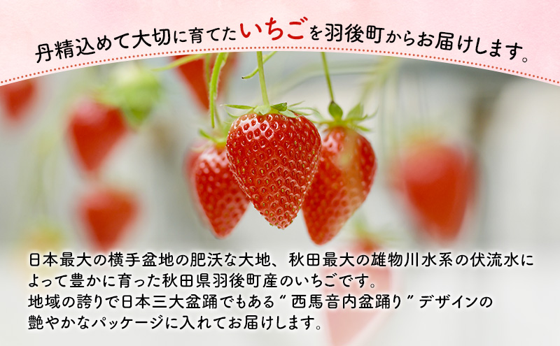 秋田県 羽後町産 訳あり いちご 品種指定不可 300g×2パック　[ いちご 苺 イチゴ フルーツ 果物 ]