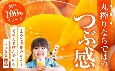 宮崎県産 まる搾りみかんジュース 500ml×12本