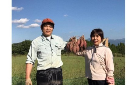 【下巣畑農産】シルクスィート 干し芋 80g×5 400g 令和7年産 素材の味 優しい甘さ 産地直送 九州 熊本 小国町 地場産 スイーツ しっかり食感 添加物不使用 おやつ レンジで温め 贈答 国