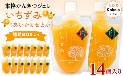 かんきつジュレ「いちずみ」バラエティセット＜あいか＆せとか入り＞　14個入り | ゼリー 柑橘ゼリー 柑橘ジュレ みかん スイーツ 温州みかん あいか 愛果28号 せとか 清見 デコポン 美生柑 伊予柑 はるみ 愛媛県 松山市 ココオ Koko'o