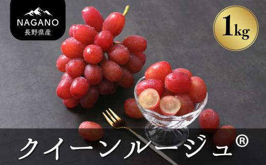 MS34-25A ぶどう クイーンルージュ（長野県産秀品） 約1kg／2025年10月中旬～11月中旬頃 配送予定 // 稀少 新品種 長野県 南信州 高糖度 葡萄 ブドウ 甘い 種なし 皮ごと ぶどう三姉妹