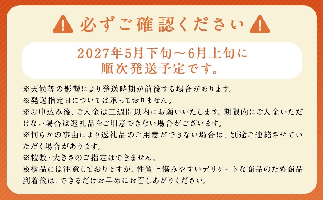 茂木 びわ『なつたより』2Lサイズ 15玉入り