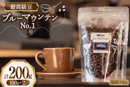 コーヒー豆 ブルーマウンテン 100g 2パック 計 200g [珈琲Chiba 福岡県 筑紫野市 21761419]