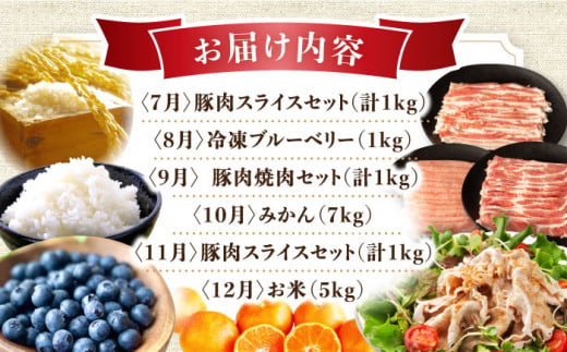 【12回定期便】豚肉＆旬の農産物 ブルーベリーコース（ 豚肉 いちご ハムセット 野菜 果物 ブルーベリー みかん お米 ）/ 便利な定期便 バラエティ定期便 バラエティ / 大村市 / おおむら夢フ
