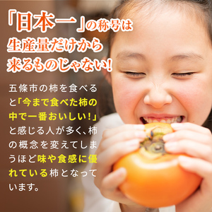 たねなし柿 約6.0kg ※着日時はご指定いただけません 10月中旬から11月中旬順次発送  | フルーツ 果物 くだもの 柿 かき カキ 奈良県 五條市