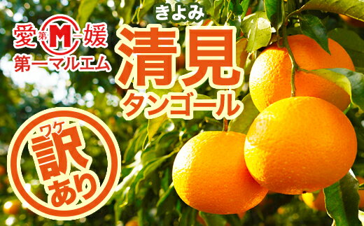 【ふるさと納税】 訳あり 清見 タンゴール 5kg 7000円 みかん mikan 蜜柑 ミカン わけあり きよみ 産地直送 国産 農家直送 期間限定 数量限定 特産品 ゼリー ジュース アイス 冷凍 みかん 等に 人気 甘い フルーツ 果物 柑橘 おいしい ジューシー 第一マルエム 愛南町 愛媛県