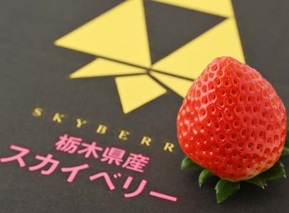 ＜先行予約＞ 鬼怒川の恵みをたっぷり受けた 栃木県上三川（かみのかわ）町産 スカイベリー【2パック】 いちご イチゴ 苺 スカイベリー ※2026年1月中旬～3月中旬頃に順次発送予定 ※離島への配送不