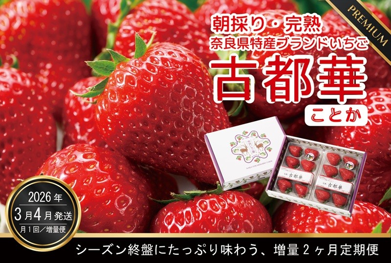 
3・4月増量発送 各4パック、計8パック発送 奈良県特産 高級ブランドいちご「古都華」の２ヶ月定期便

