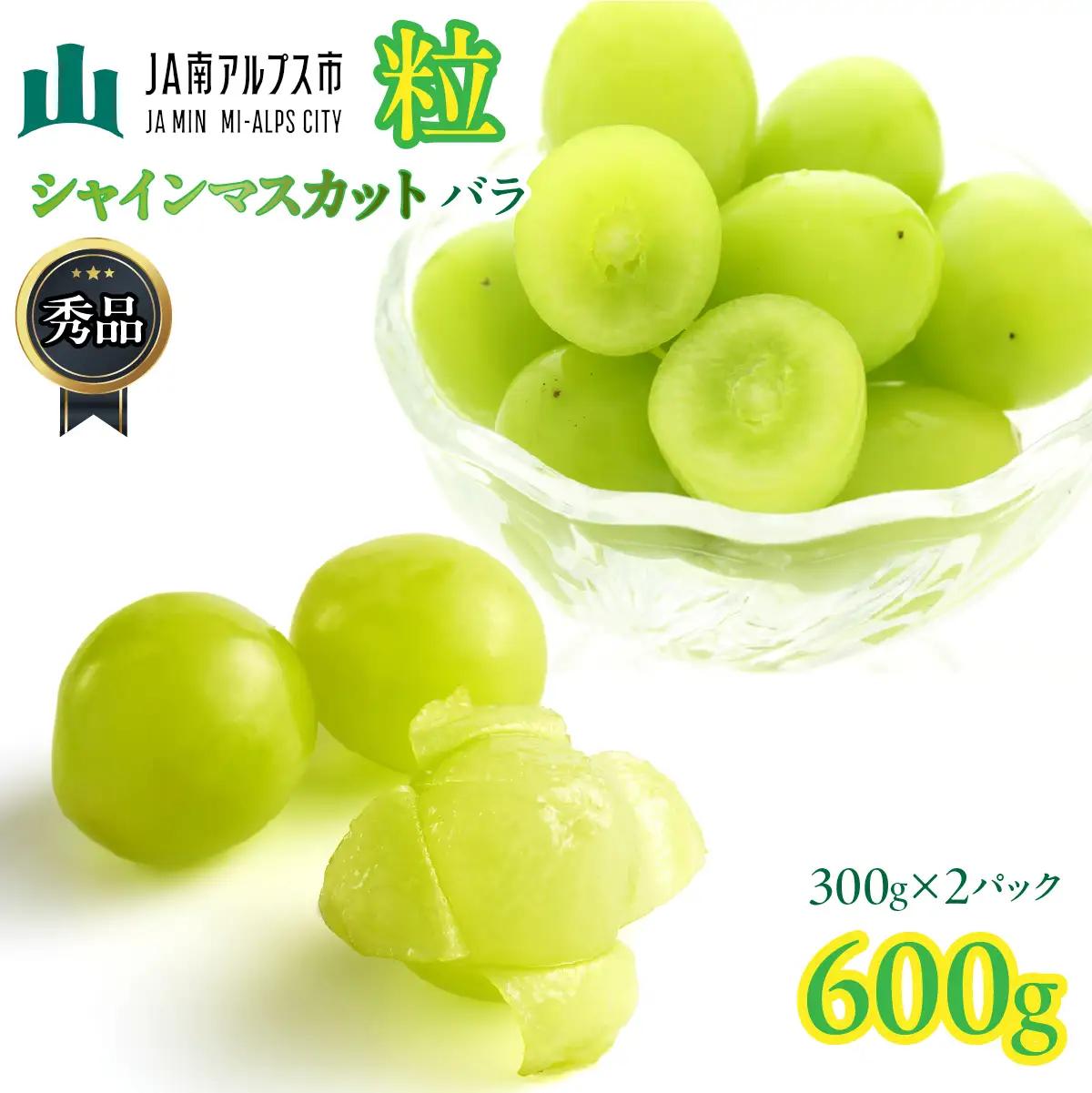 粒シャインマスカット バラ 秀品 約300g×2パック  【令和8年産】 ALPAA057