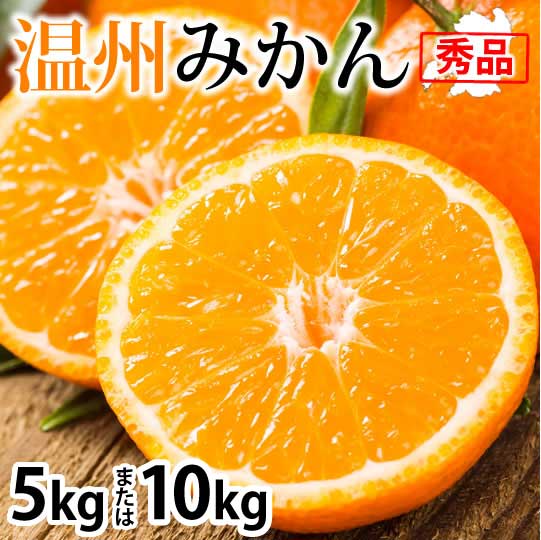 【ふるさと納税】先行予約 みかん 秀品 【選べる内容量】約5kg もしくは 約10kg S〜2L 【2026年10月上旬から2027年1月下旬までに発送予定】熊本みかん ミカン 蜜柑 柑橘 熊本県 宇城市 送料無料 株式会社Foody’s