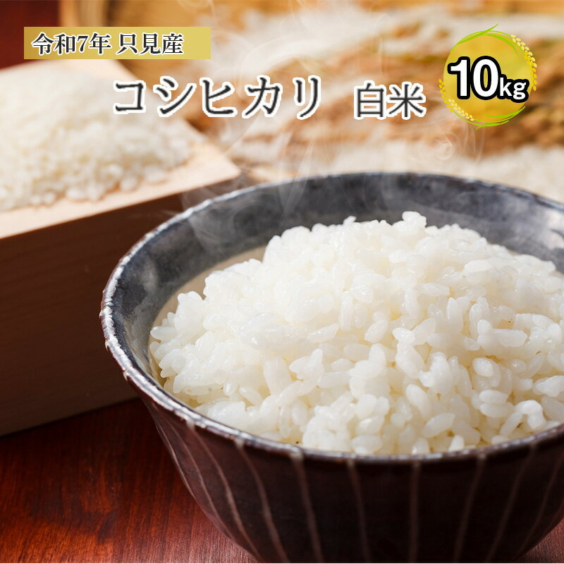 【ふるさと納税】【伊南川農園】令和7年　只見産　コシヒカリ　白米　10kg お米 ライス ご飯 主食 おにぎり お弁当 福島県産 精米 食卓 　お届け：順次発送