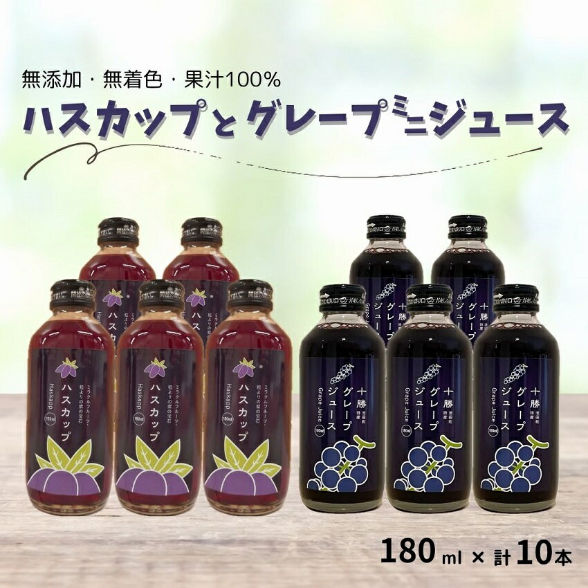 【ふるさと納税】北海道 ぶどうとハスカップのミニジュース 10本 ストレート 伝統製法 昔ながら 濃い 無添加 美味しい送料無料 高級　ブドウ 葡萄 送料無料 高級