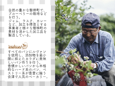 【クリスマスまでに発送】【先行予約】ブルーベリー シュトーレン (小) 250g前後×2個