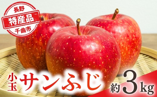 【2026年先行予約】りんご 小玉サンふじ 約3kg | 信州りんご 長野りんご リンゴ 林檎 さんふじ サンフジ 千曲市 長野県産 信州
