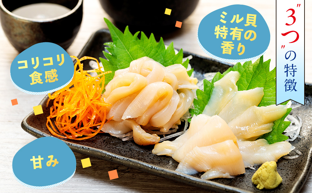 岬だより ＜貝専門店＞ 天然 白ミル貝 100g × 3袋 冷凍 新鮮 海鮮 鮮度 風味 魚介 貝 海の幸 お刺身 寿司 バター焼き ご飯 甘み おつまみ 酒 おすすめ 人気 愛知県 南知多町 三河湾