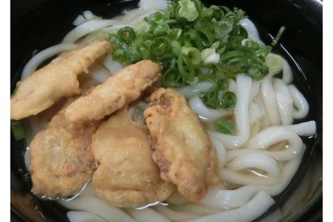 【A5-431】博多ごぼう天うどん　12食セット