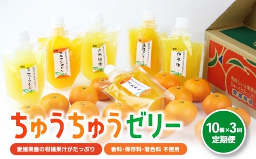 【定期便3回】 旬のちゅうちゅうゼリー 定期便 10個 | 柑橘 みかん みかんゼリー フルーツゼリー  デザート フルーツ 果物 国産 飲料 常温 スイーツ お取り寄せ ギフト 人気 おすすめ お土産 愛媛県 松山市 送料無料 田那部青果