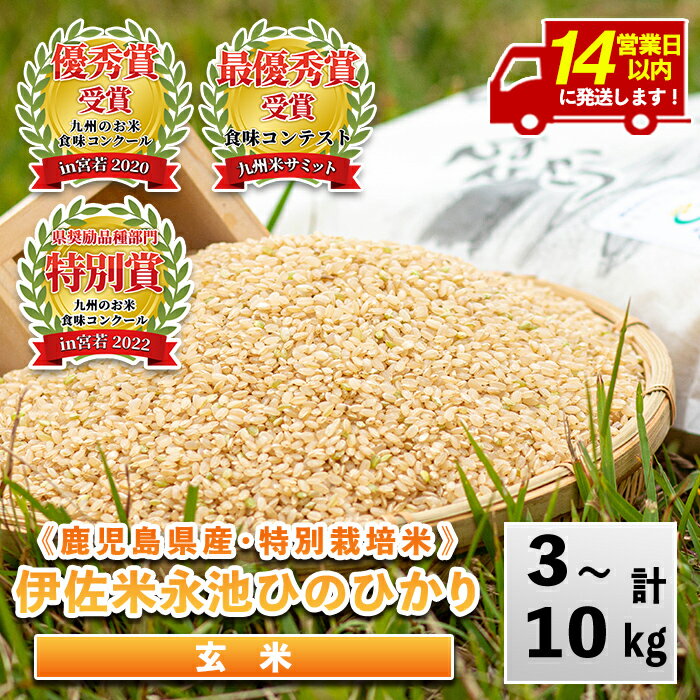 【ふるさと納税】＜14営業日以内に発送！＞《内容量が選べる》令和7年産 特別栽培米 永池ひのひかり玄米(3kg/5kg/10kg) 鹿児島 永池 お米 米 玄米 伊佐米 九州米サミット 食味コンテスト 最優秀賞受賞 ヒノヒカリ【エコファーム永池】