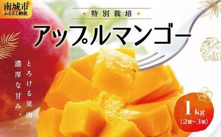 ★【2025年発送】特別栽培アップルマンゴー1kg（2～3個） 【 マンゴー マンゴー マンゴー マンゴー 】