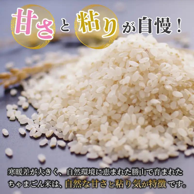 米 コシヒカリ 勝山産 ちゃまごん米 5kg 精米 [A-010004]