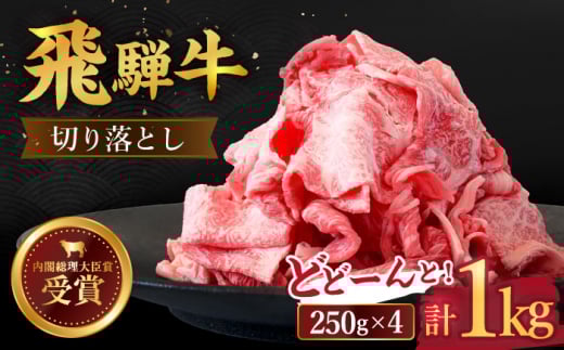 【 飛騨牛 】 切り落とし 1kg ( 250g × 4 )【肉のひぐち】 牛肉 国産 ブランド牛 和牛 多治見市/肉のひぐち [TDC013]