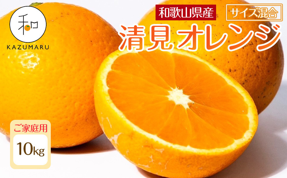 家庭用 森本農園の手選別 清見オレンジ 10kg 和歌山県産 サイズ混合 ［北海道・沖縄・離島配送不可］［RN39］［2026年2月上旬から5月中旬頃順次発送予定］ 303446_DJ90039
