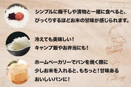 令和8年産コシヒカリ 白米 10kg / 新米 米 こしひかり ソイル